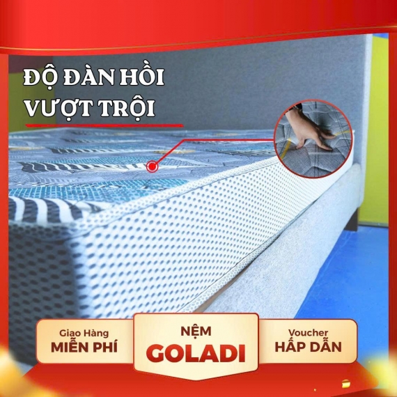 Nệm Tổng Hợp Goladi Family