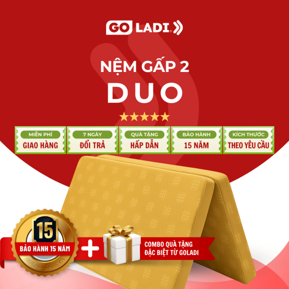 nem-gap-2-duo-don-gian-gon-nhe-tien-dung
